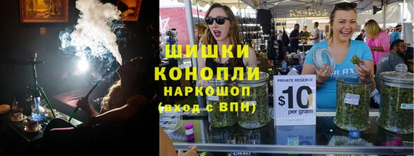 крисы Анива
