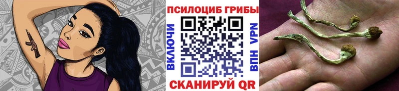 Псилоцибиновые грибы Psilocybine cubensis  Вяземский 