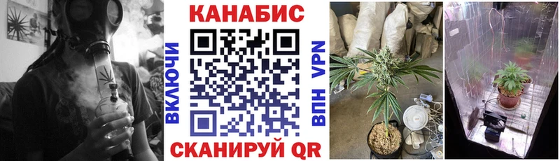 магазин Вяземский МАРИХУАНА конопля